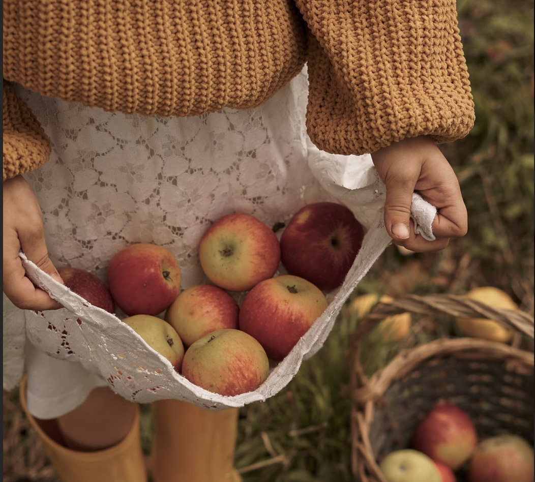 HerbstMinis