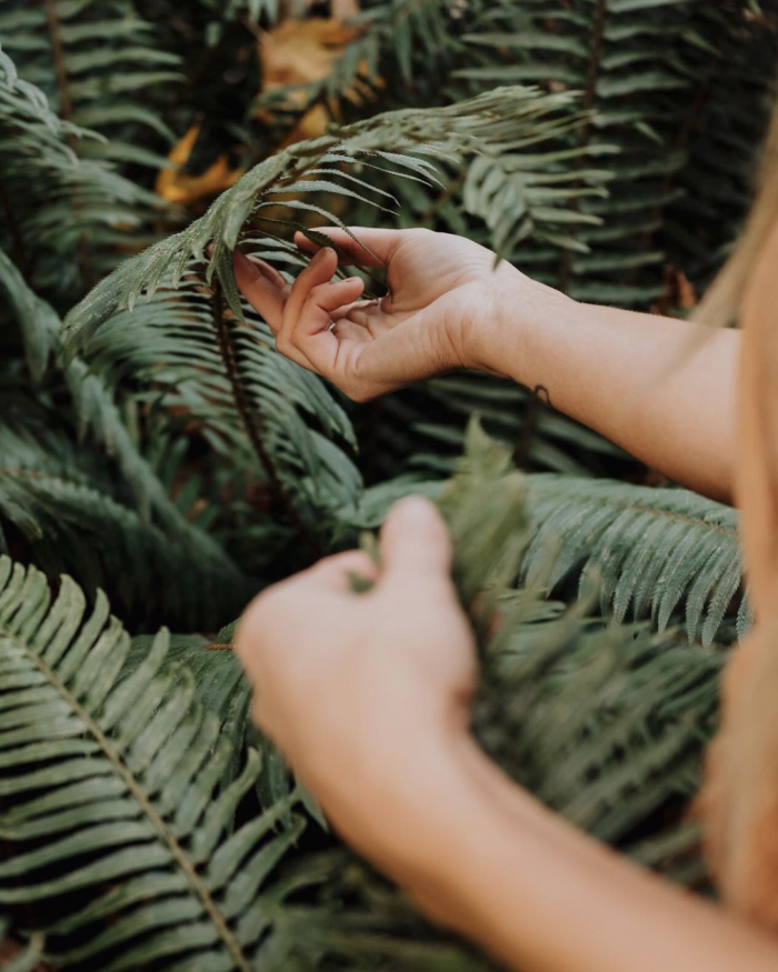 soulfulbusinessminis