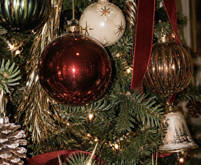 Minisessions Weihnachten in Bern